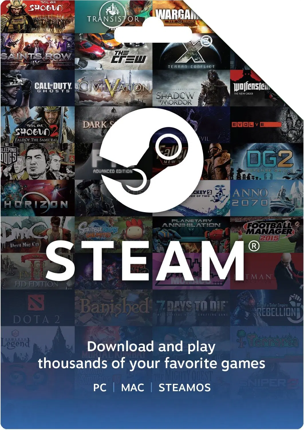 steam wallet 100 eur