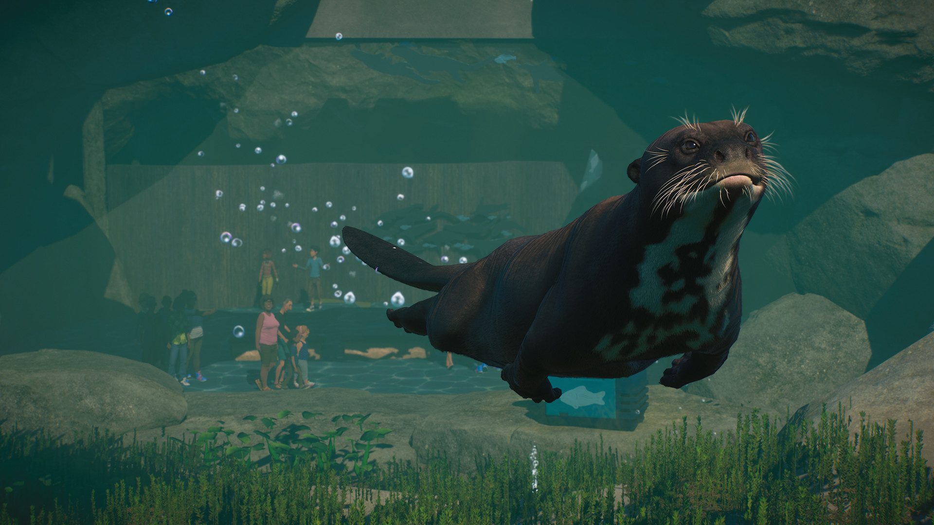 planet zoo: aquatic pack