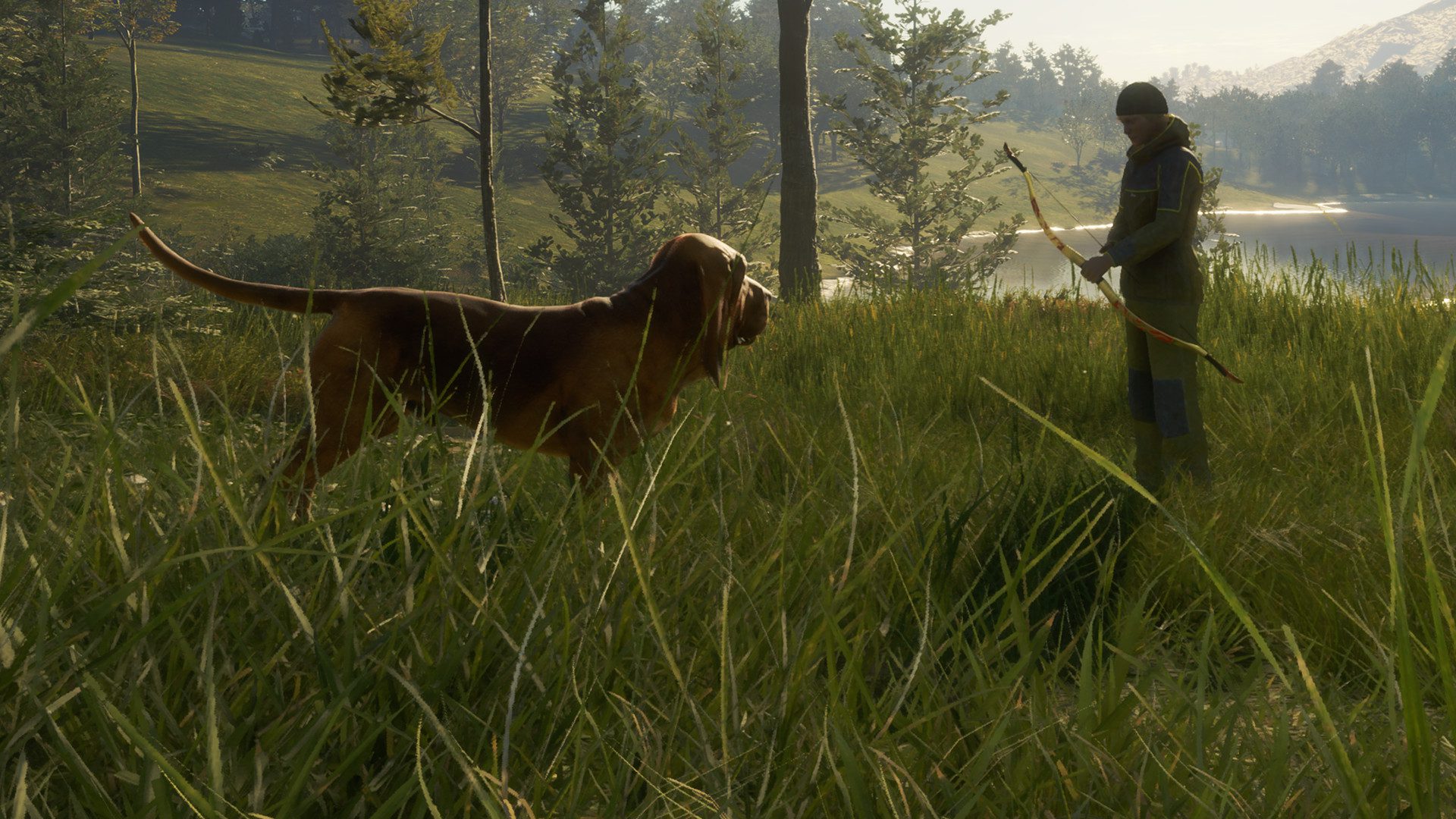 call of the wild bloodhound