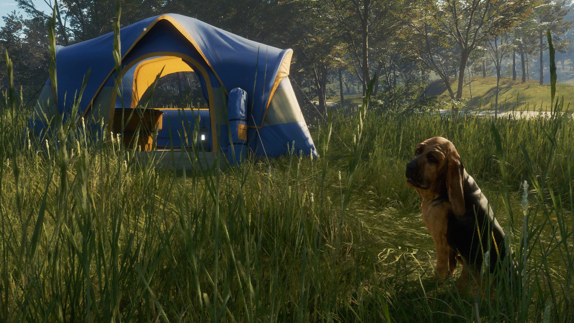 call of the wild bloodhound