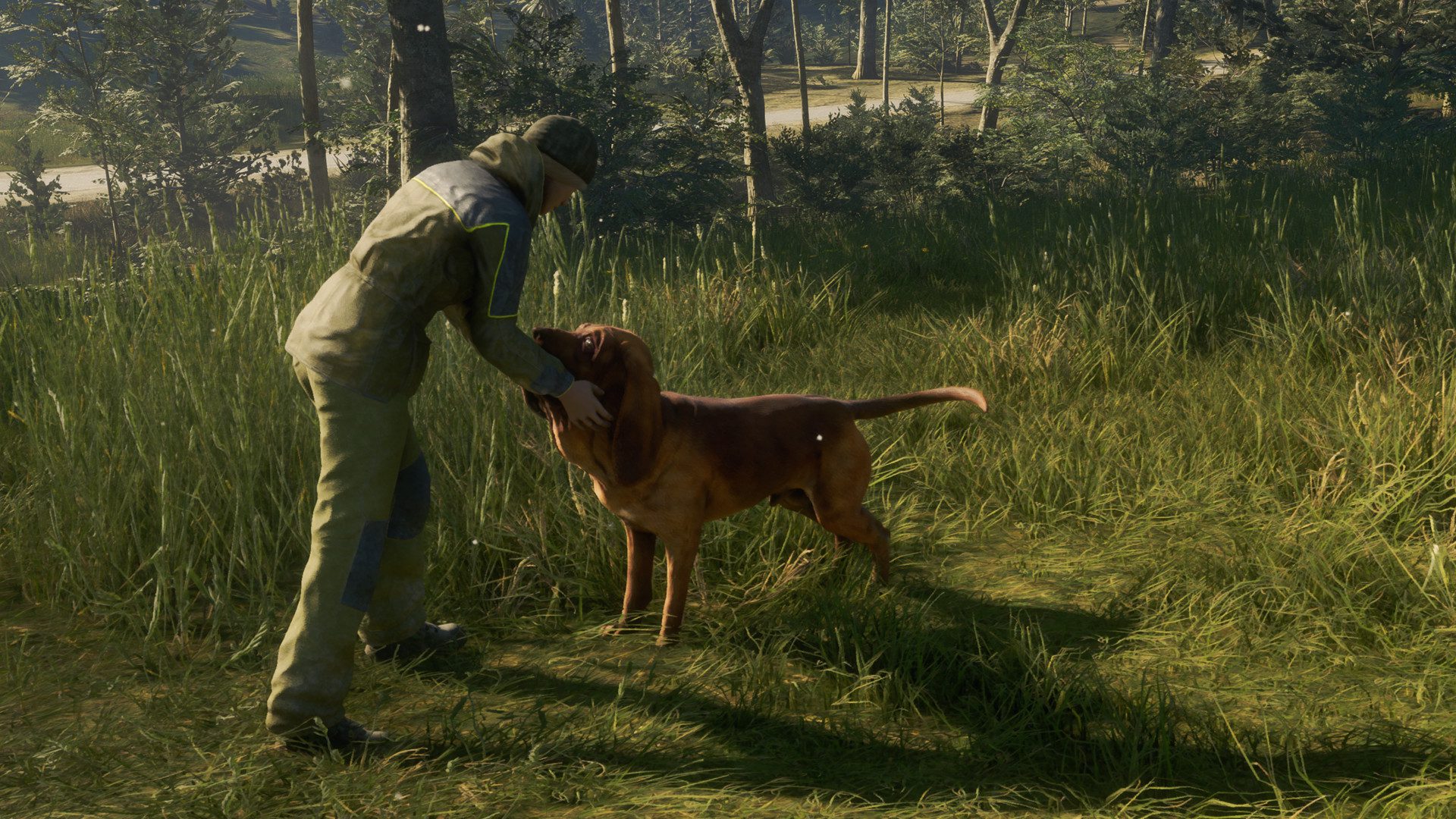 call of the wild bloodhound