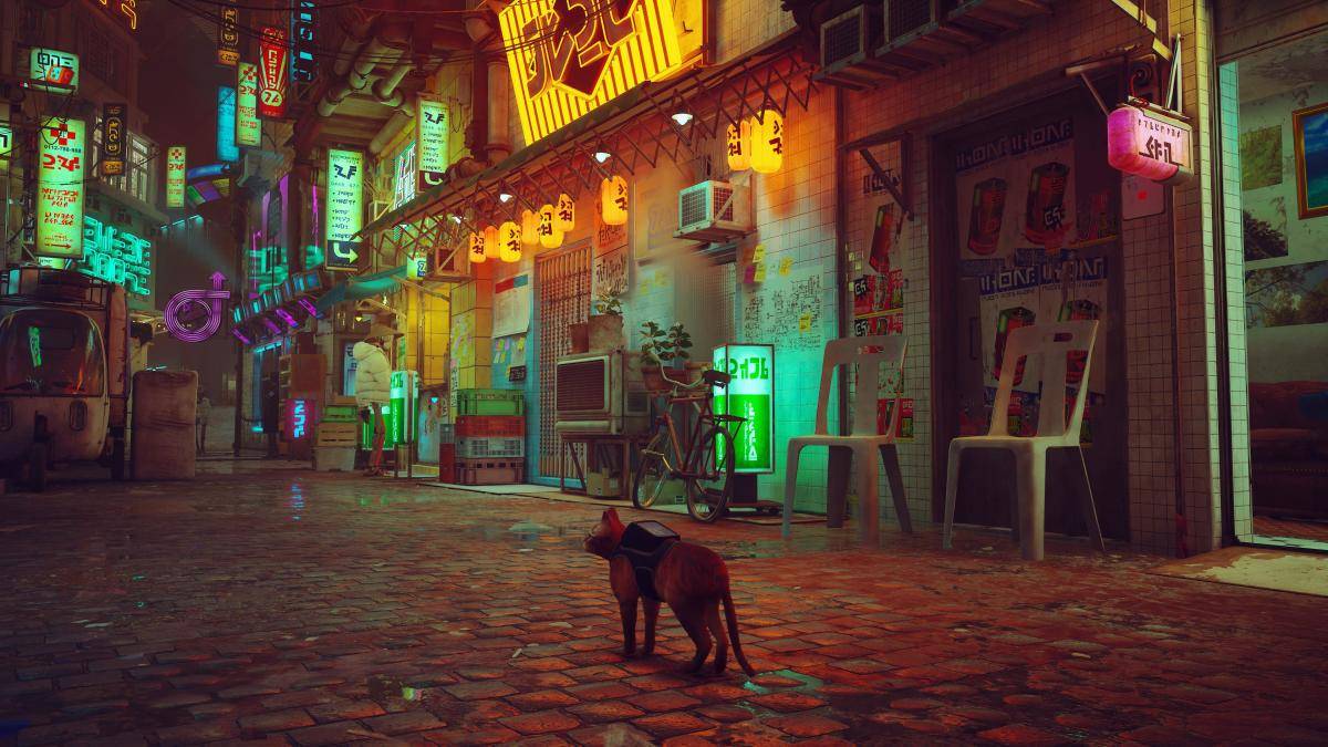 stray